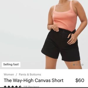 Everlane The Way-High Canvas Short